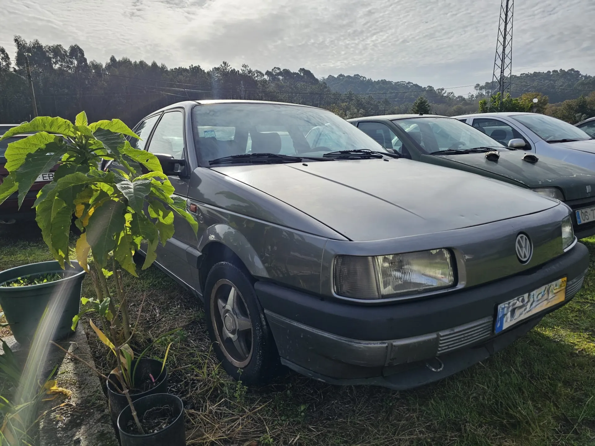 Passat  VOLKSWAGEN Passat (3A2, 35I) Imagem-1